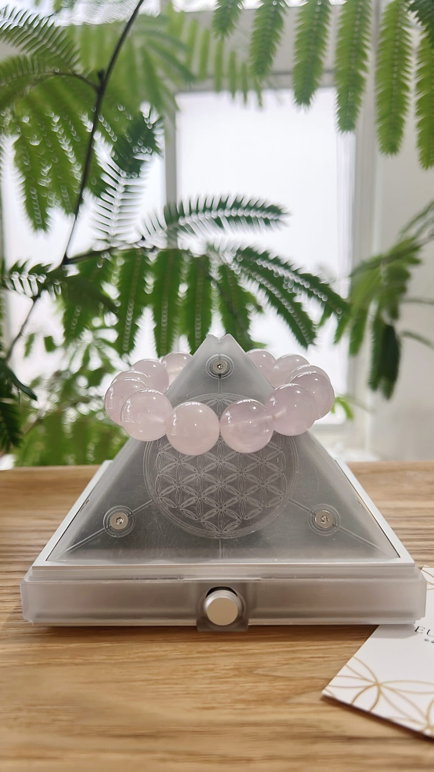 【撓境 Qi Vibe】當空間的頻率對了,連夢境都能共享|開箱體驗心得